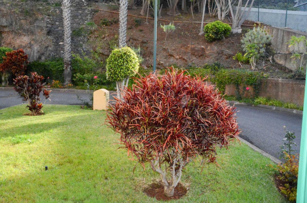 Ferienwohnung Vista Formosa Funchal Exterior foto